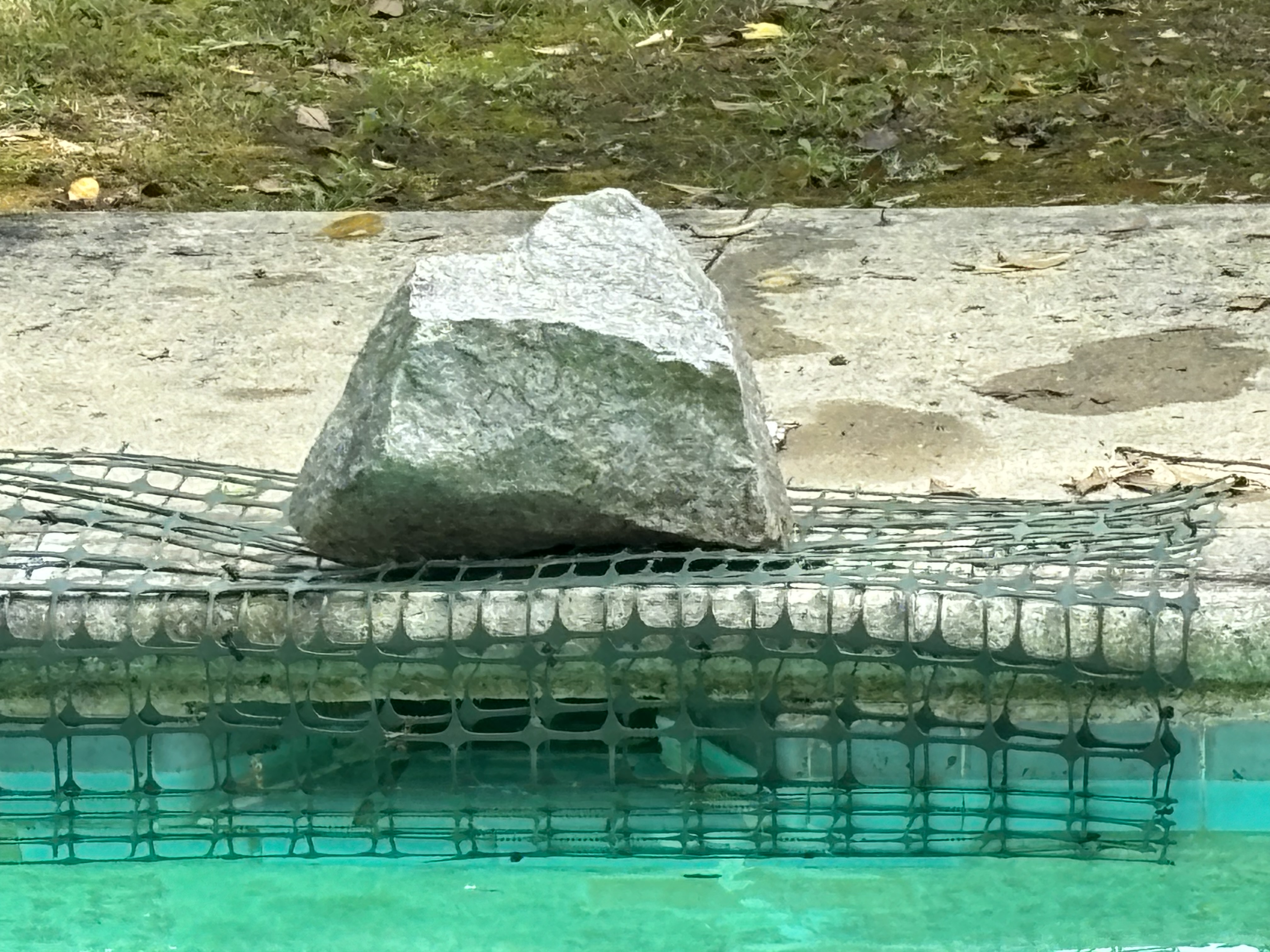 Before: DIY improvised leaf stopper in pool skimmer