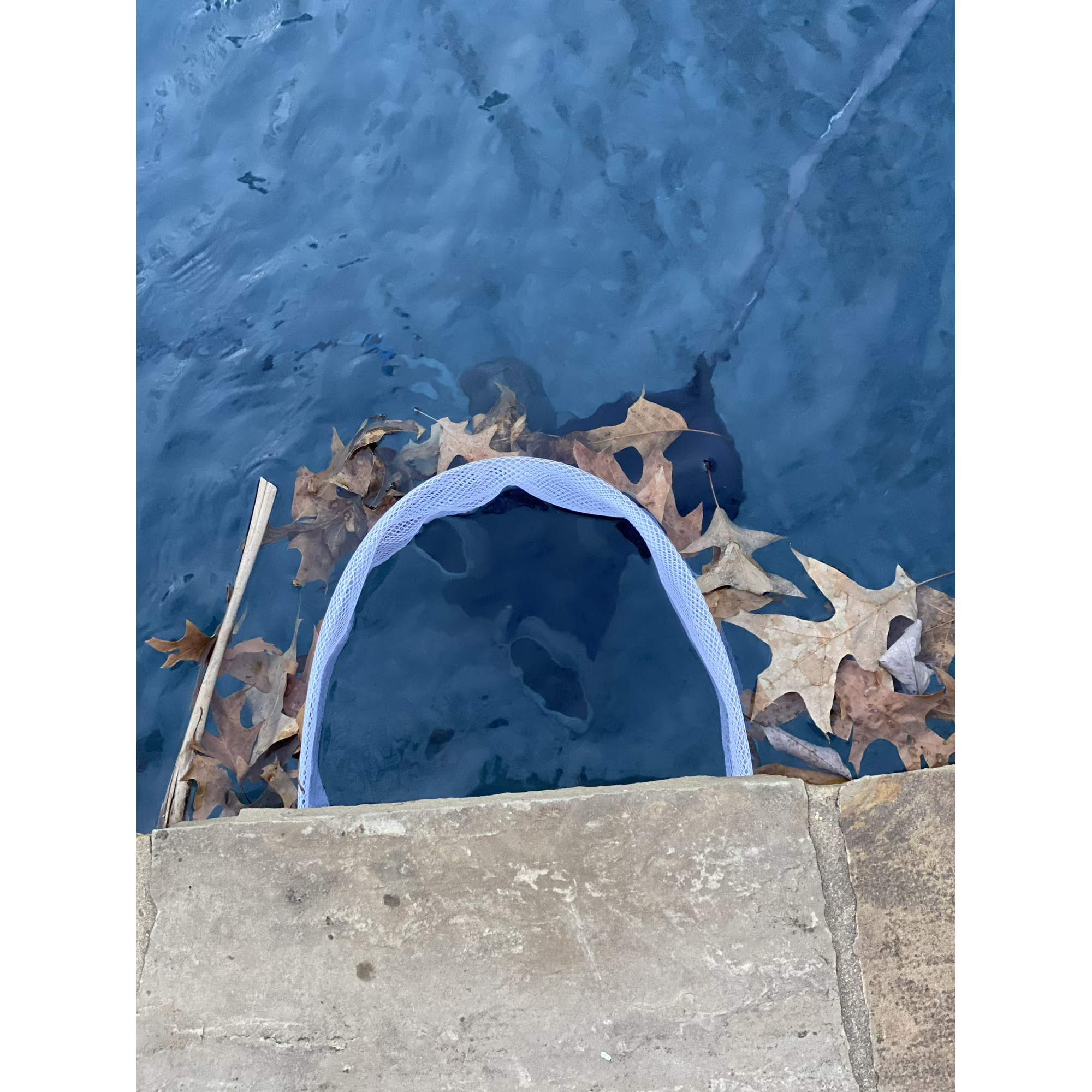Skimmer Shield installed and protecting a pool skimmer opening